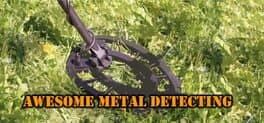 Awsome Metal Detecting